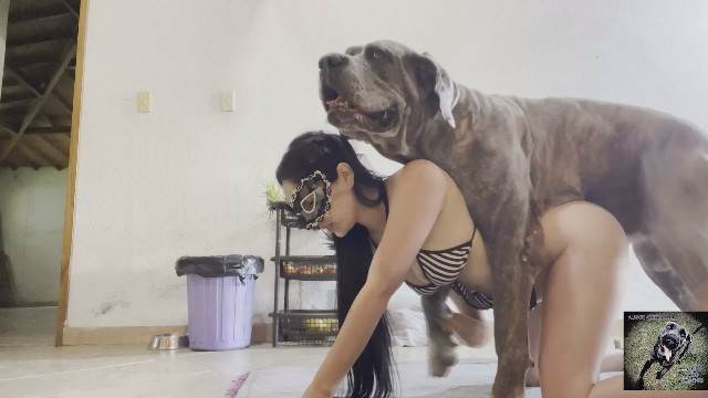 bestialidade zoofilia fodas com animais Cachorro dá um nó na buceta da e engata o pinto até gozar Cavalo gozando dentro da buceta de uma loira cavala Raven, DogWoman, Alison, Yasmin, Gisele, Vixen, Cupcake, Lise, Sonia Zoofilia Porco comendo a bucetona da putona com tesão