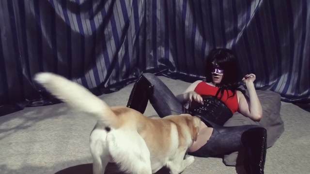 Filmes para Download xoxota fodas com animais cachorro comendo buceta Vídeo de sexo bestial grátis mulher chupando a pica do cachorro pornô zoofilia com oral