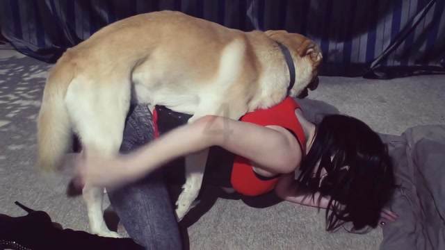 Filmes para Download xoxota fodas com animais Mulheres brasileiras trepam com garanhão Assista pornografia de bestialidade gratuita Mulher Transando Com Cachorro Zoofilia com uma loira gostosa