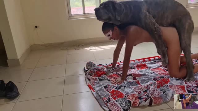 Filmes para Download xoxota fodas com animais Mia, Triana, Zaina, Valeria, Shantal, Lady Zoe, Andy, Xiomara Zoofilia Raven having sex with Dog animal sexo tubo k9lady