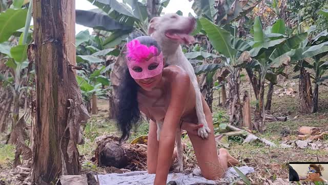 Filmes para Download xoxota fodas com animais Mulher trepando com cavalão enquanto marido cornao assiste animal sexo tubo Filmes Pornô Com Cachorros - Zoofilia Amadora cavalo gozando na buceta