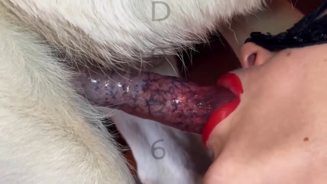 Filmes para Download xoxota fodas com animais animal sexo tubo sexo com cavalos e uma MILF cachorro comendo buceta Lise private club animalsex