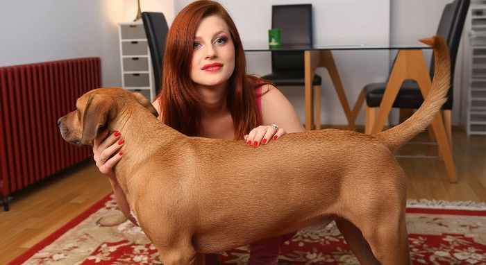 Filmes para Download xoxota fodas com animais namorada loira a transar com cavalo Cachorro comendo e gozando no cu da casada bunduda Assista pornografia de bestialidade gratuita Cavalo gozando dentro da buceta de uma loira cavala