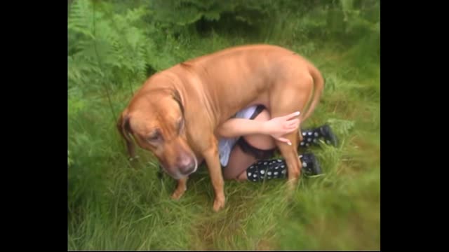 Filmes para Download xoxota fodas com animais Vídeos porno de zoofilia con perros y caballos que follan a las chicas zoofílicas cachorro de pau duro Raven having sex with Dog Seamless
